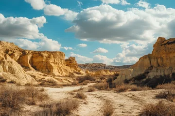 Selbstklebende Fototapeten Sunny day in arid landscape with yellow rock formations and dry vegetation. © a muh sakaria