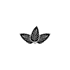 Green Leaf icon for logo. Vegetable Icon vector on black color