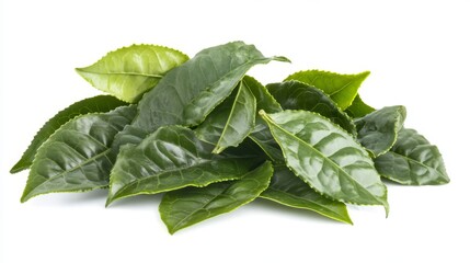 15.Collection of fresh, detailed green tea leaves arranged naturally on a pure white background, high resolution showing individual leaf texture and veins, ready for overlay use.