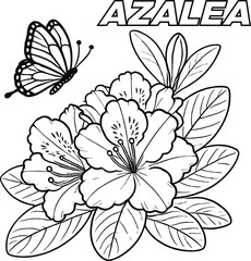 Fototapeta premium Floral Fantasy Beautiful Flower Coloring page