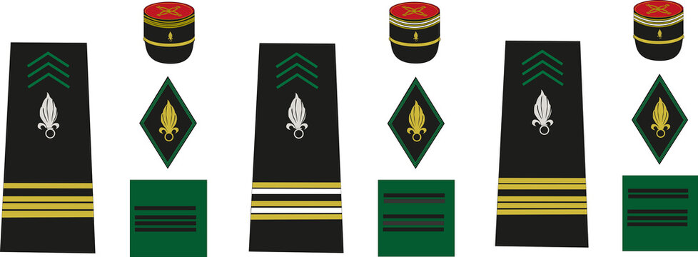 Ensemble des galons de l'arm&eacute;e de terre fran&ccedil;aise, l&eacute;gion &eacute;trang&egrave;re: officier sup&eacute;rieur, commandant, lieutenant-colonel, colonel	