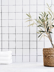 A small olive tree growing in a pot and a stack of white towels.