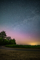 Northern lights over fields and trees