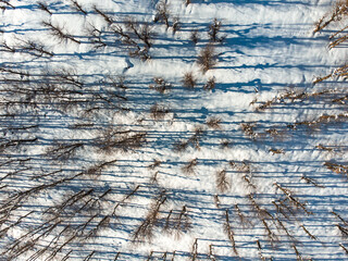 Winter snow mountain cabin panorama. Winter mountain snow forest tree. landscape mountain snow. Aerial view cold Winter forest in Algeria, Jijel North Africa, snow covered trees and cold weather Arabs