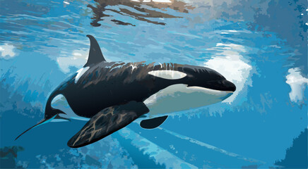 Fototapeta premium The image conveys a sense of peace and tranquility, showcasing the orca's effortless movement through the water