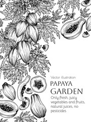 Vector frame with papaya fruit tree and slice, piece, half of fruit in engraving style
