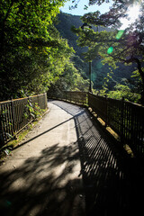 Winding Path with Railings and Striking Shadows