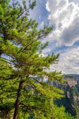 Zhangjiajie scenic area in Hunan Province, China