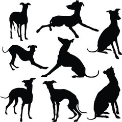 Greyhound dog silhouettes,Greyhound dog animal silhouette collection