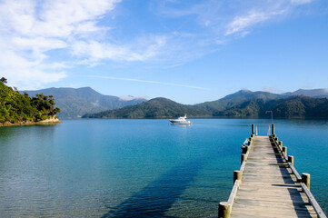 wooden pier on lake