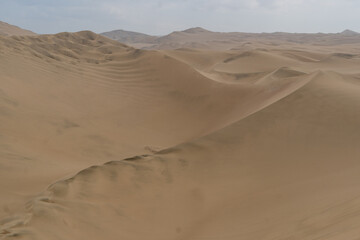 sand dunes in the desert