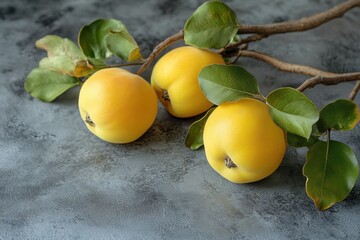 Gray backdrop featuring quince branches with fresh fruit