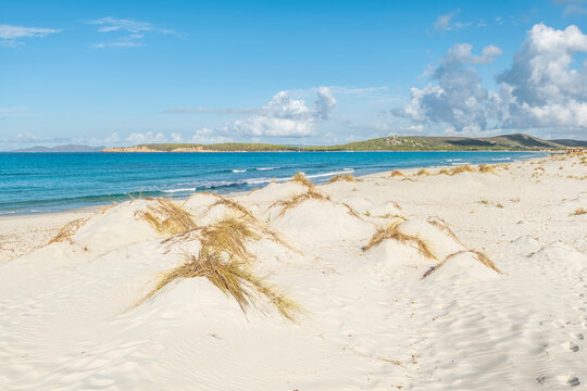 The wide sandy beach of Is Arenas Biancas, Sardinia, Italy