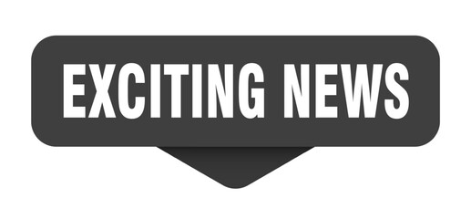 Fototapeta premium EXCITING NEWS button, sign, sticker, banner