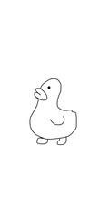 rubber duck