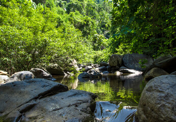 Puddle on the waterfall in the jungle