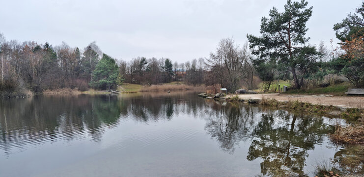 A lake in Irchelpark in Zurich in Switzerland, surrounded by trees and grassy areas in late autumn