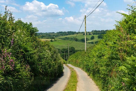 Hilly agricultural landscape seen from winding road lined with high hedges, hedgebanks and stone walls in Dartmoor National Park with white clouded blue sky