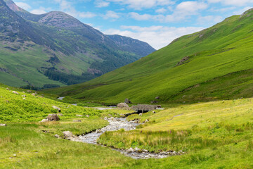 Naklejka premium B5289 road with bridge and stream from Honister Pass in the Lake District, Cumbria, UK surrounded by green mountains with pasture and fields of fern