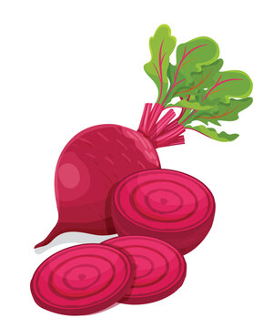 Purple beetroot whole half and slices isolated on white background-stock illustration