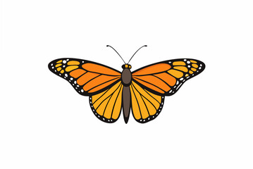 butterfly