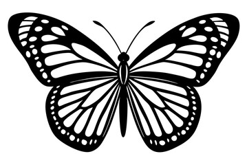 butterfly isolated on white