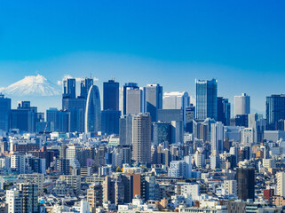 東京 富士山と新宿副都心の高層ビル群