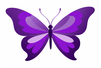 butterfly on white background