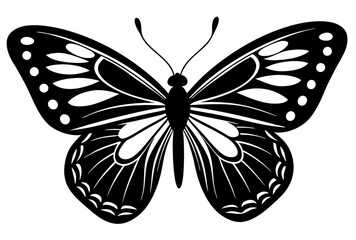 butterfly illustration