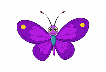 butterfly isolated on white background