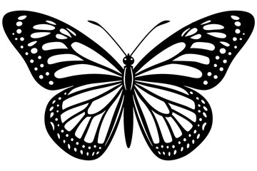 butterfly isolated on white