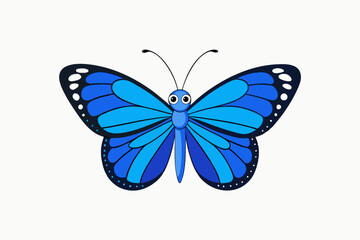 butterfly isolated on white