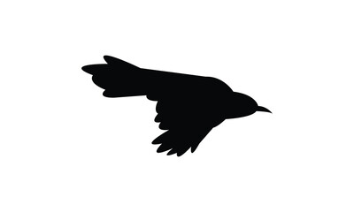 Catbird Silhouette Design  And Vector Illustration. 
