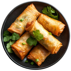 Extreme top view of an extremely perfect looking vegetable spring roll in a dark porcelain plate isolated on a white transparent background