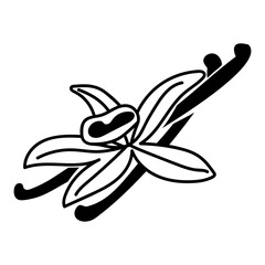 Vanilla flower with a set of sticks. Vector hand-drawn illustration of an orchid flower and pods on an isolated background. A package with a contour drawing of spices. in style line art, silhouette