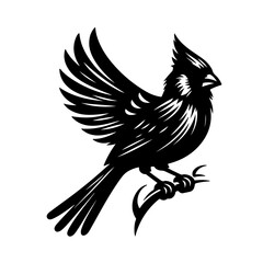 Obraz premium black and black and white birdwhite bird