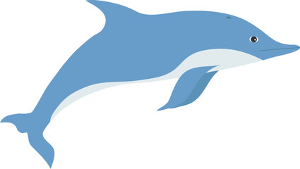 Dolphin, realistic dolphin icon isolated on white background. Vector, designer illustration.
