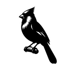 Fototapeta premium bird on a branch