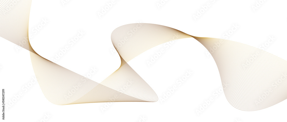 Poster vector smooth curve gold gradient color