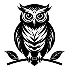 Fototapeta premium Burrowing Owl Aruba silhouette