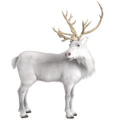 3D rendered beautiful reindeer isolated on transparent background