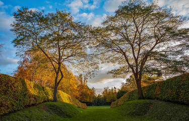 autumn landscape with trees