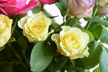 カラフルなばら