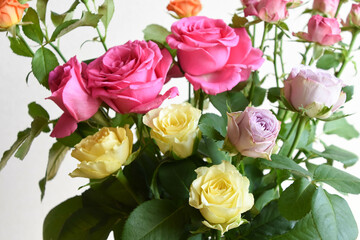 カラフルな薔薇