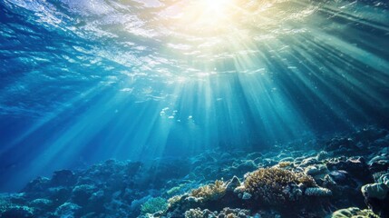 Fototapeta premium A stunning underwater scene featuring rays of sunlight streaming through the surface, illuminating colorful corals. A serene aquatic environment filled with marine life.