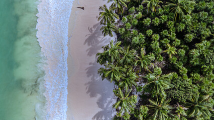 Aerial Drone videos of breathtaking Beauty of Sian Ka'an reserve in Quintana Roo Mexico. A paradise of white Sand beaches, crystal clear water and palm trees