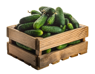 heap of fresh cucumbers in a wooden crate