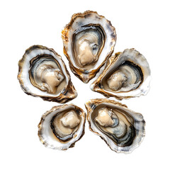 Freshly Shucked Oysters.