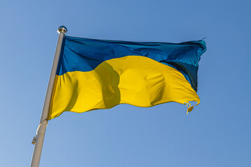 Fototapeta premium The Ukrainian flag flutters in the wind against the background of the autumn sky