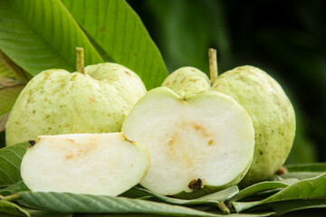 Crystal guava or Psidium guajava, sliced crystal guava on a table with natural background